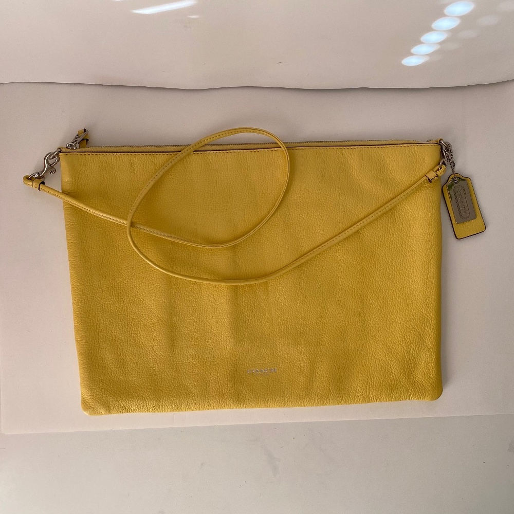 Coach crossbody clutch